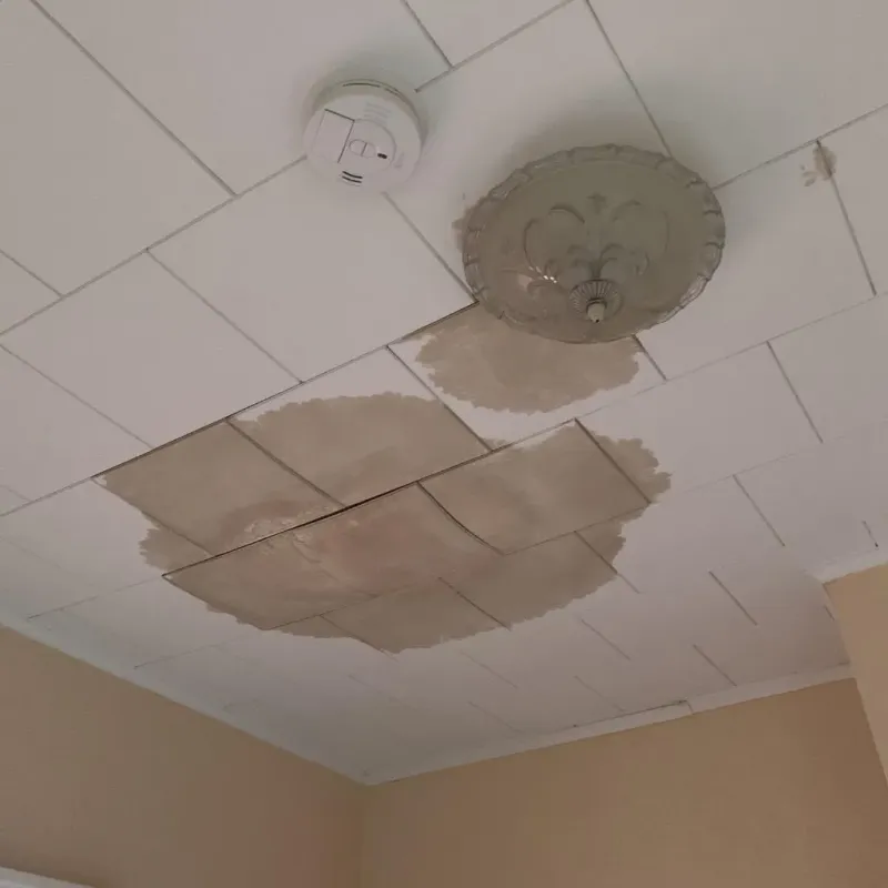 Ceiling Water Damage Repair in East Douglas, MA